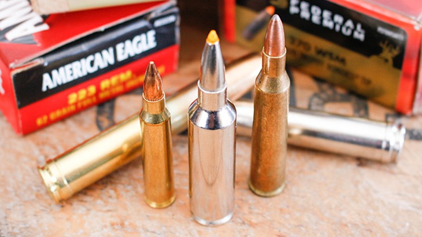 Top 5 Overrated Rifle Cartridges